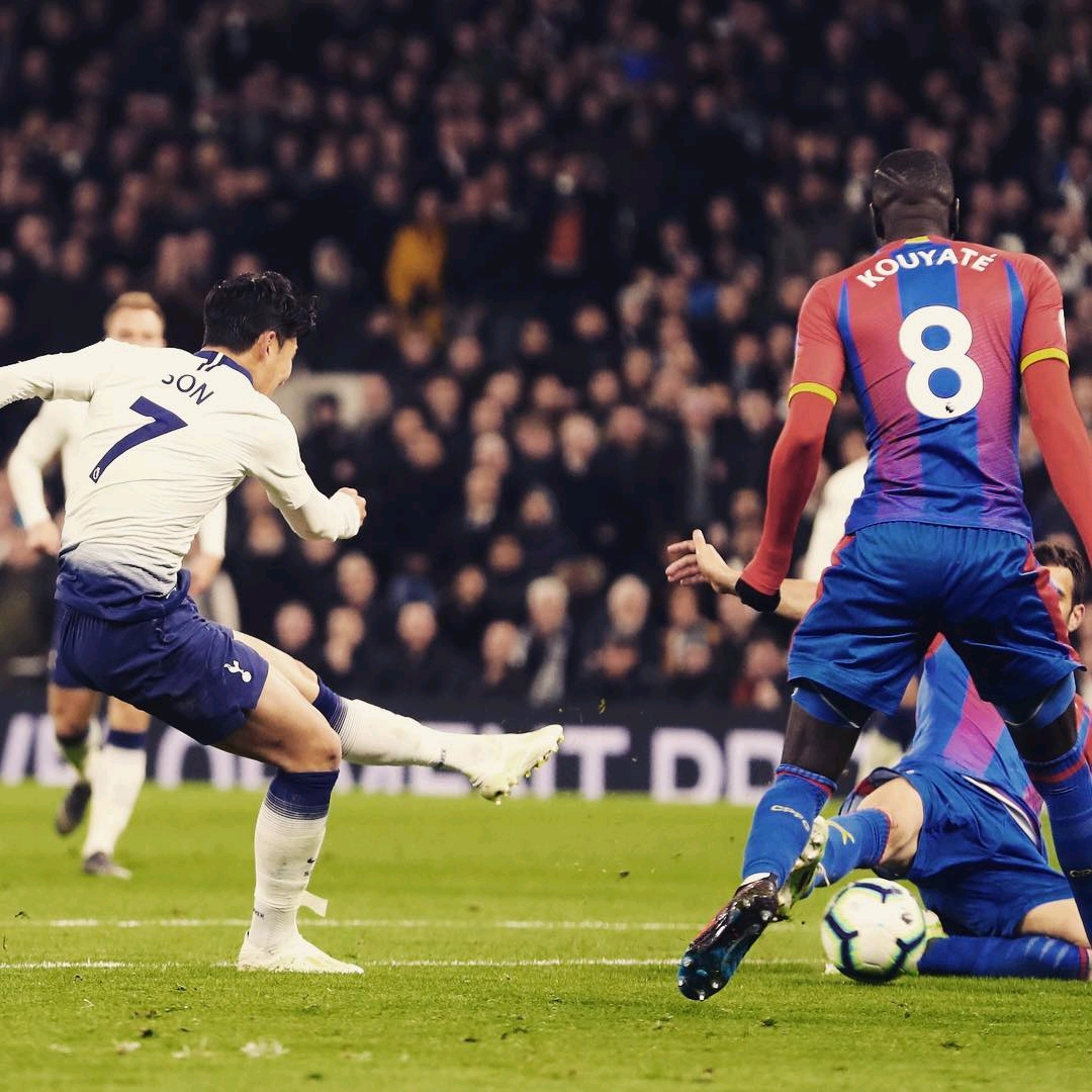 与社会影响 与社会影响